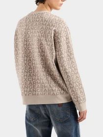 Худи и свитшоты Armani Exchange модель 6DZMJK-ZJZGZ-5707 Фото