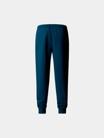 Брюки The North Face модель NF0A4SVQ1NO1 Фото