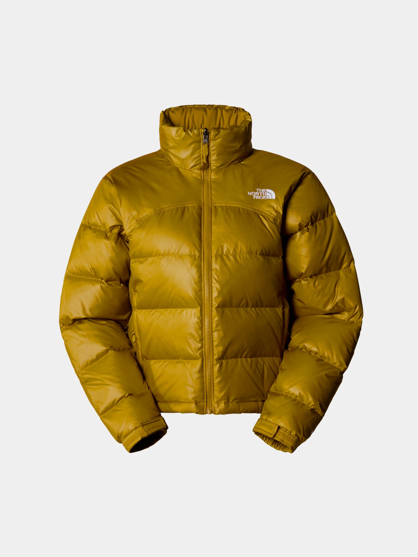 Куртки и дубленки The North Face модель NF0A831FECJ1 Куртки и дубленки The North Face модель NF0A831FECJ1 Фото