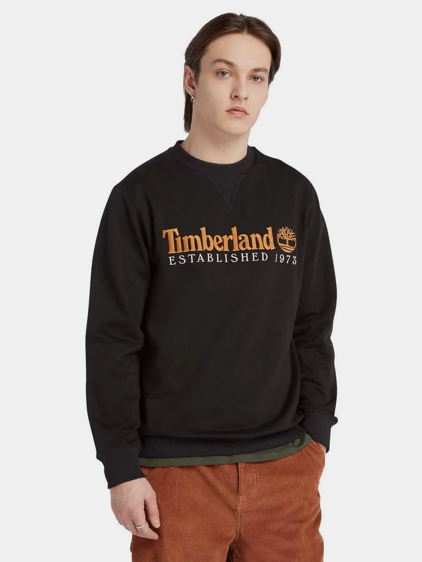 Худи и свитшоты Timberland модель TB0A65DD001 Фото