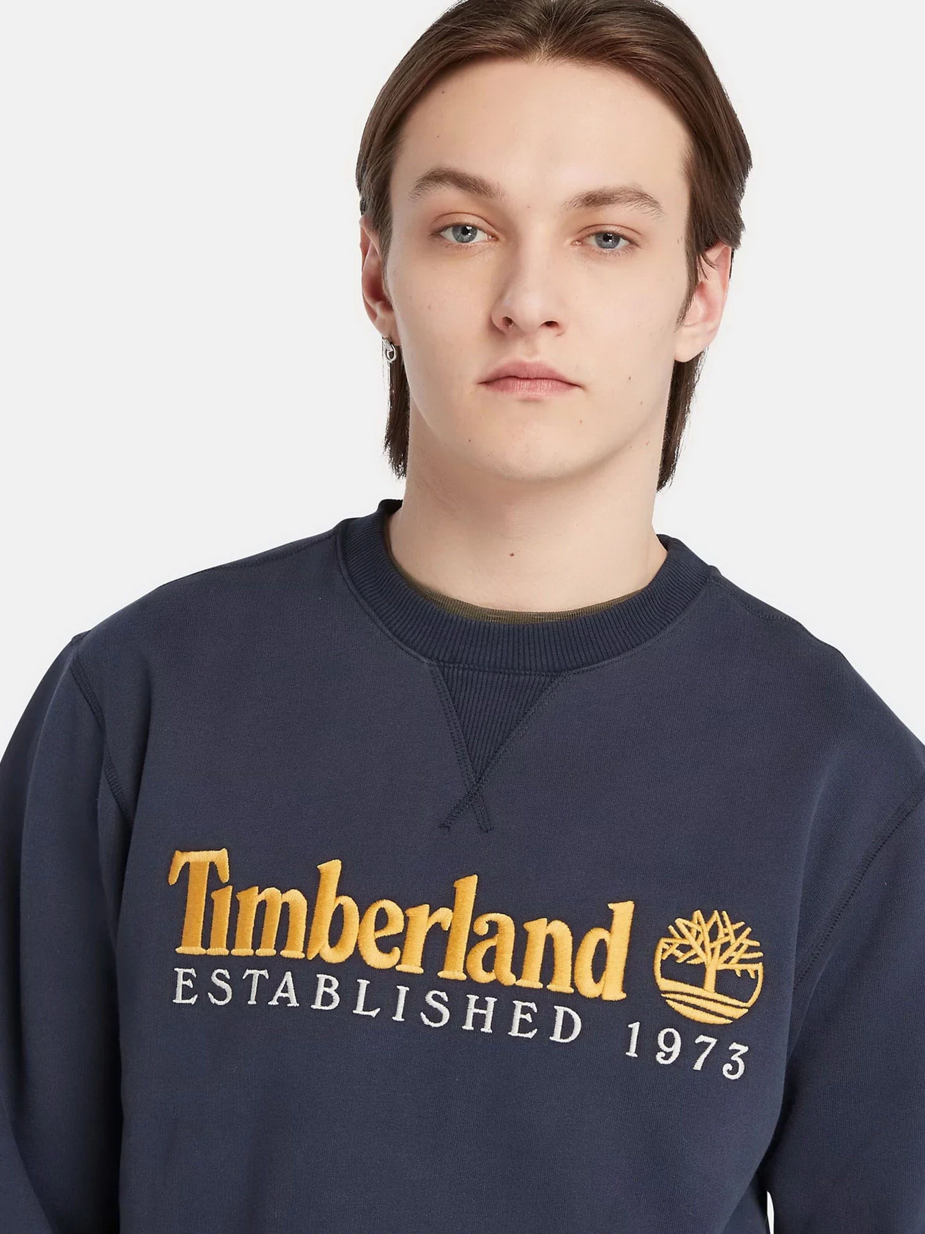 Худи и свитшоты Timberland модель TB0A65DD433 Худи и свитшоты Timberland модель TB0A65DD433 Фото