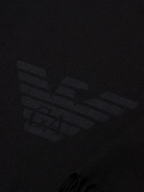 Шарфы и платки Emporio Armani модель 625214-CC318-00020 Фото