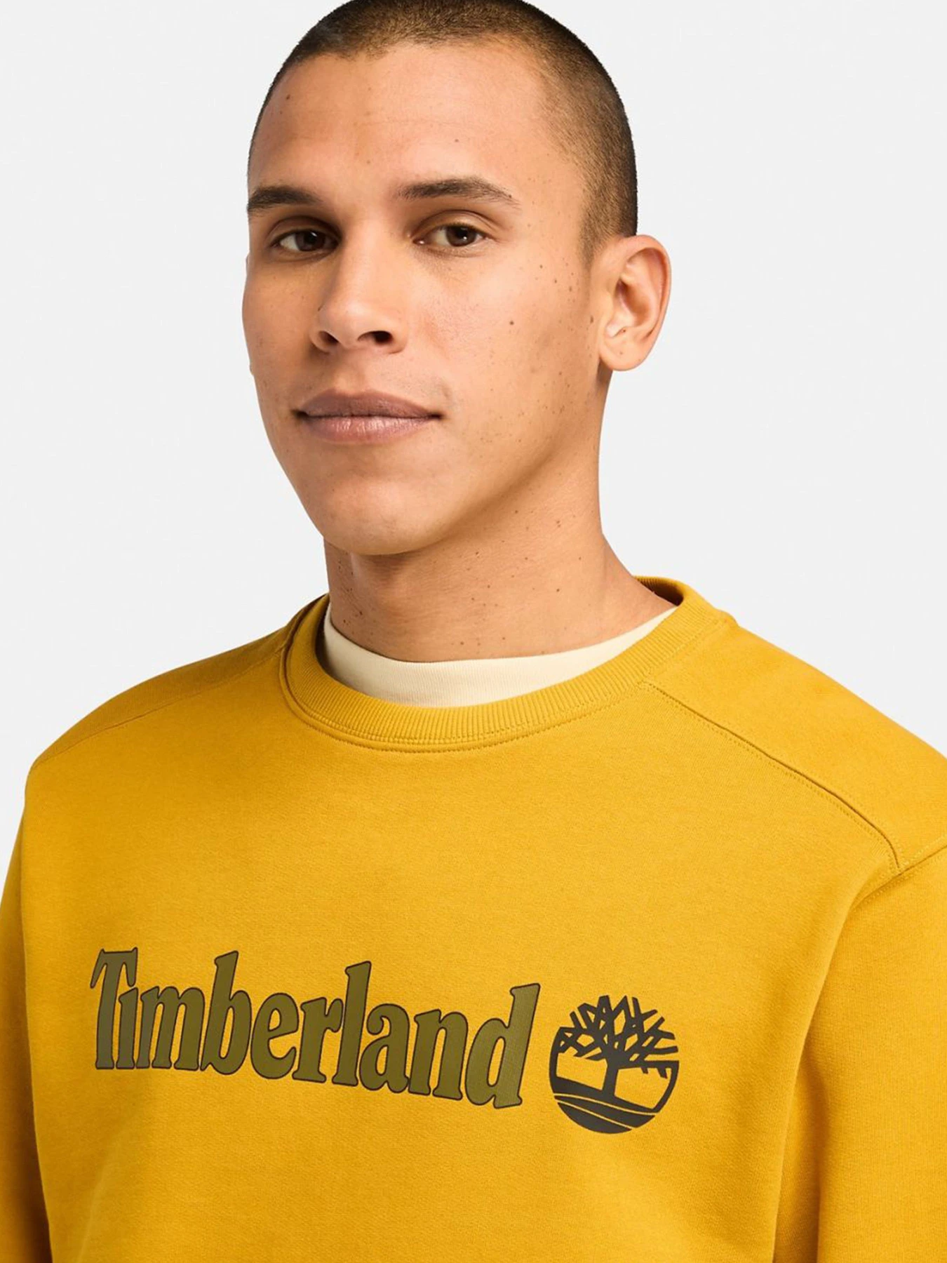 Худи и свитшоты Timberland модель TB0A5UJYEFM Худи и свитшоты Timberland модель TB0A5UJYEFM Фото