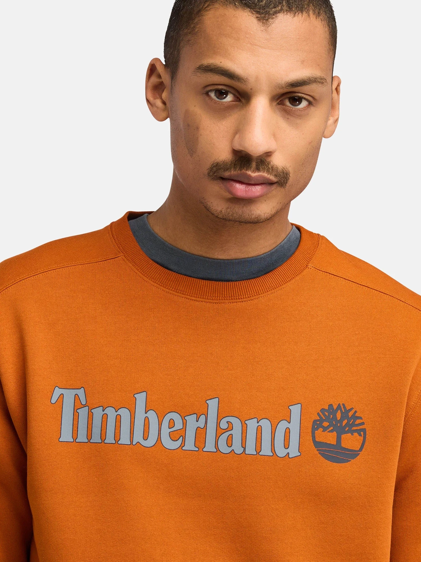 Худи и свитшоты Timberland модель TB0A5UJY888 Худи и свитшоты Timberland модель TB0A5UJY888 Фото