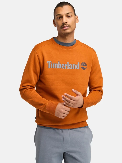 Худи и свитшоты Timberland модель TB0A5UJY888 Фото