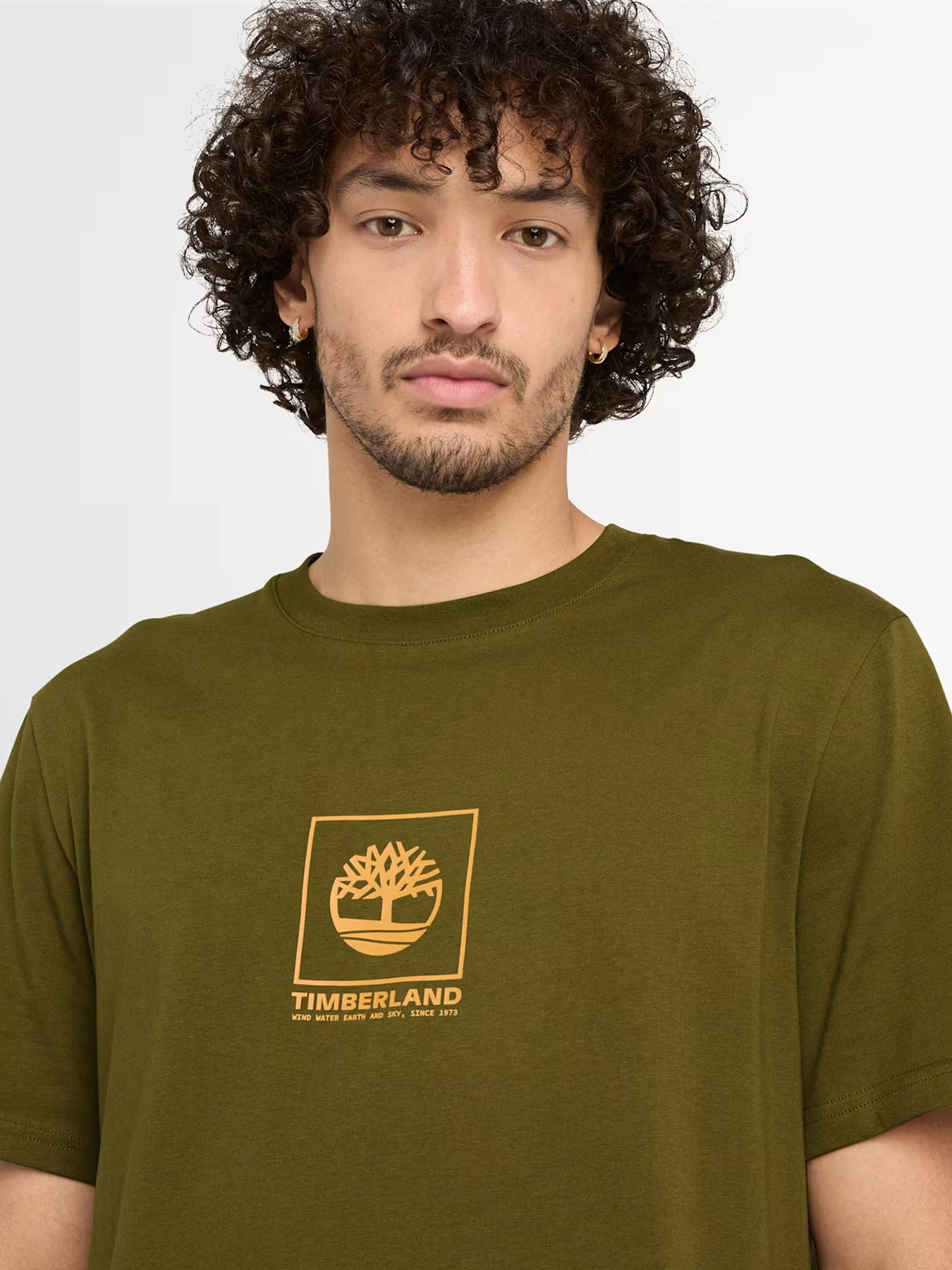 Футболки и поло Timberland модель TB0A6X8E302 Футболки и поло Timberland модель TB0A6X8E302 Фото