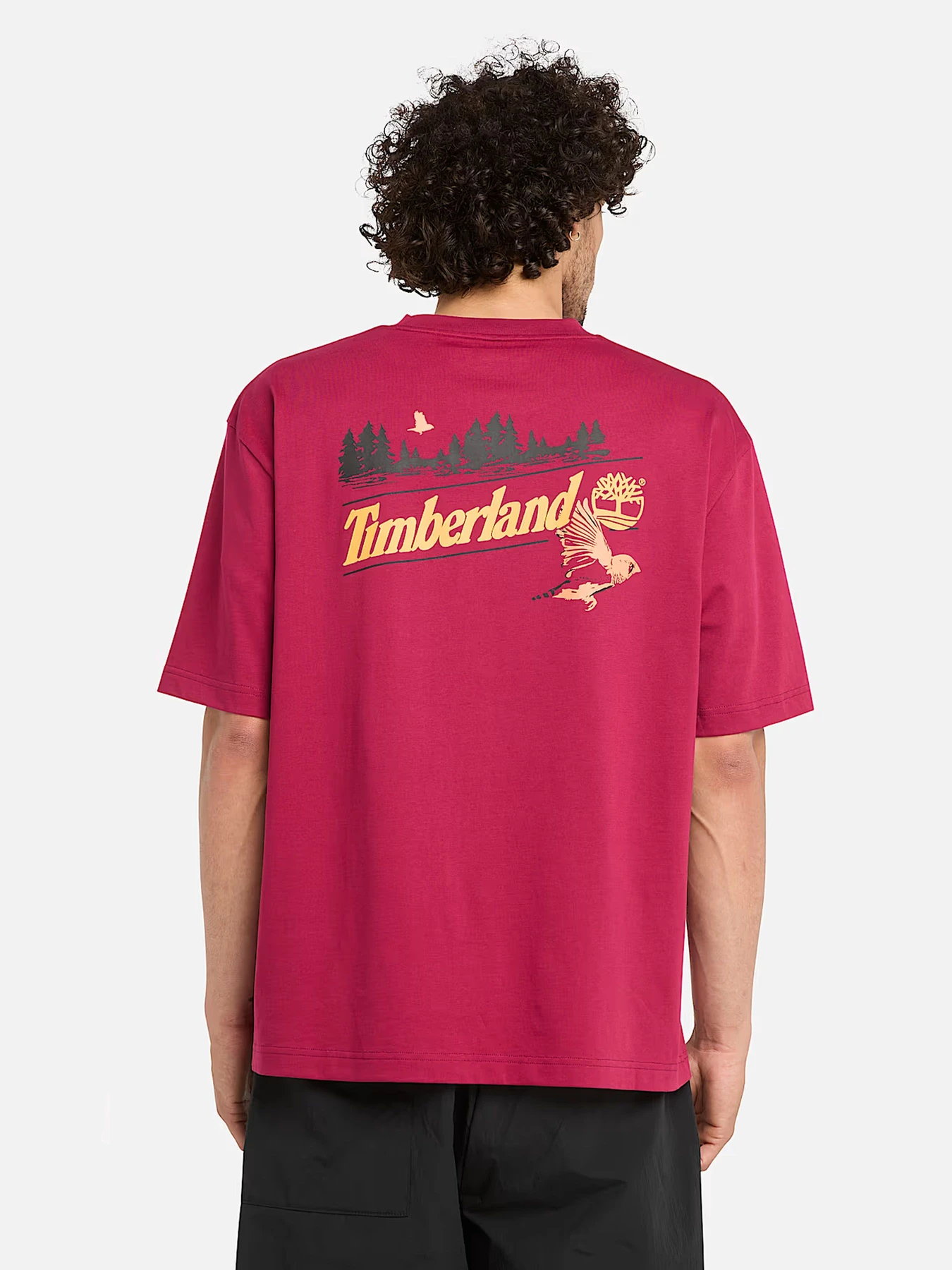 Футболки и поло Timberland модель TB0A6X92637 Футболки и поло Timberland модель TB0A6X92637 Фото
