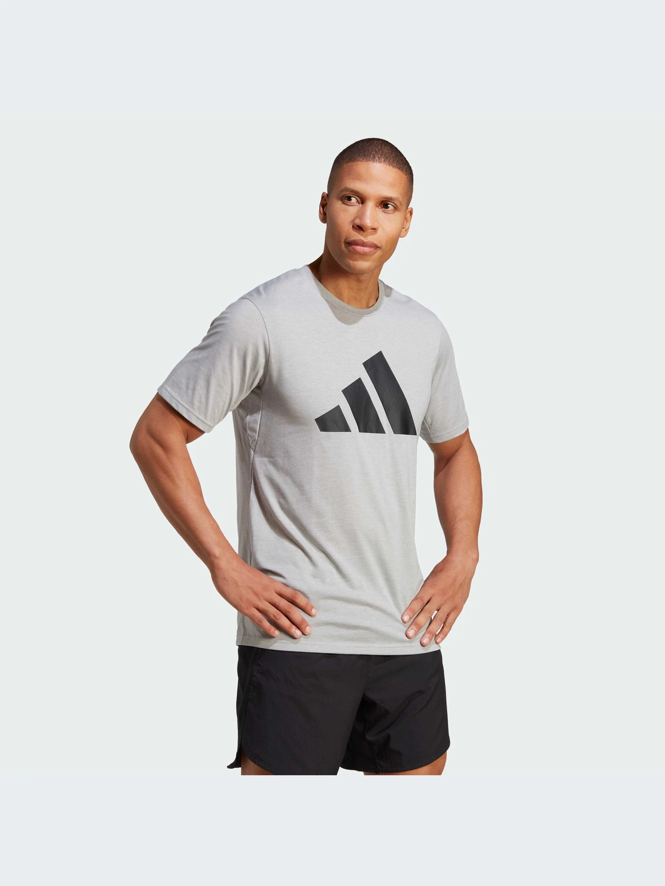 Футболки и поло Adidas Clima модель IB8276-KZ Футболки и поло Adidas Clima модель IB8276-KZ Фото