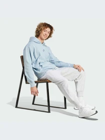 Худи и свитшоты Adidas модель IY6596-KZ Фото