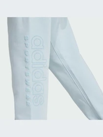 Брюки Adidas модель IY6604-KZ Фото