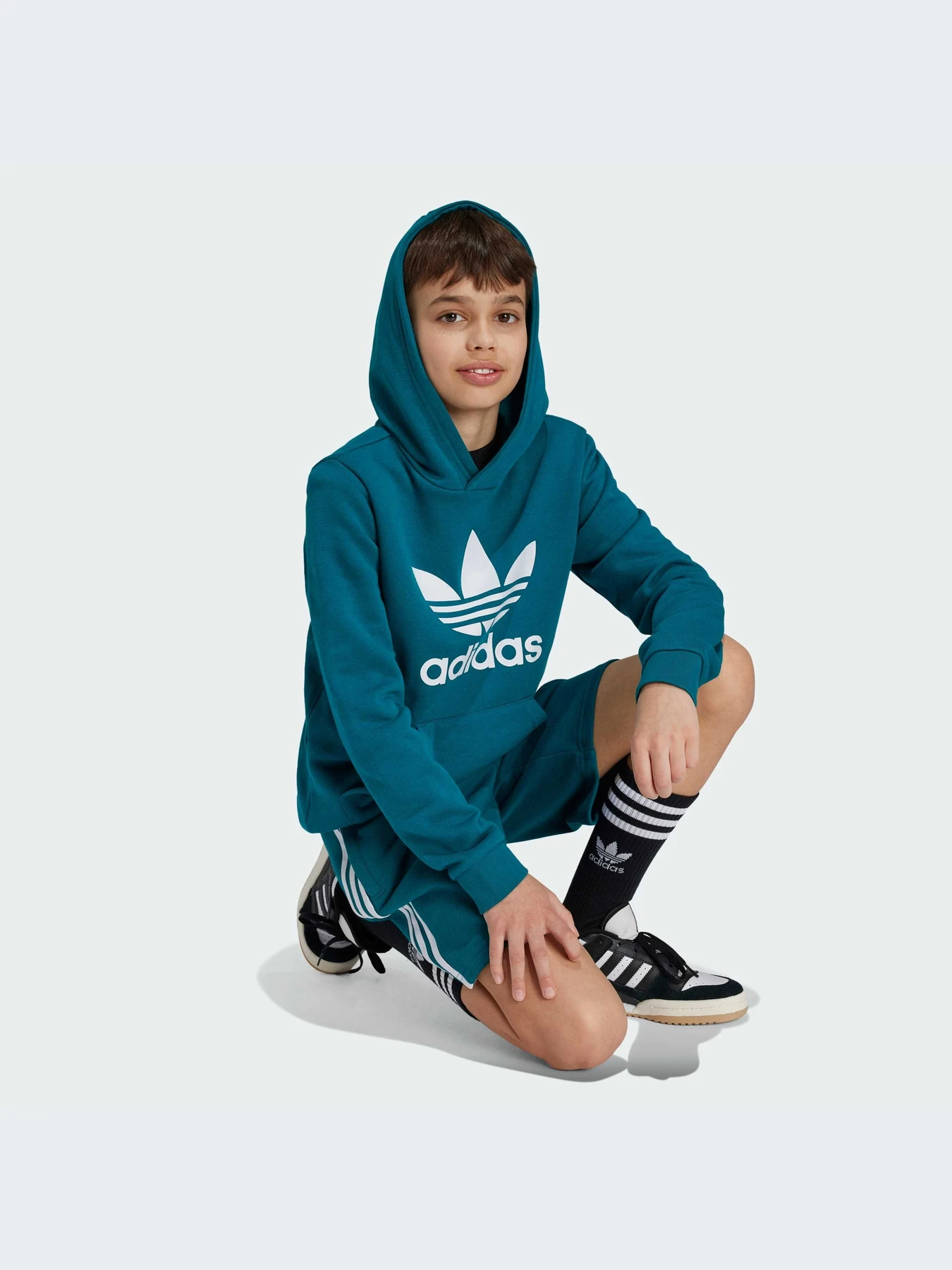 Худи и свитшоты Adidas Adicolor модель IY7440-KZ Худи и свитшоты Adidas Adicolor модель IY7440-KZ Фото