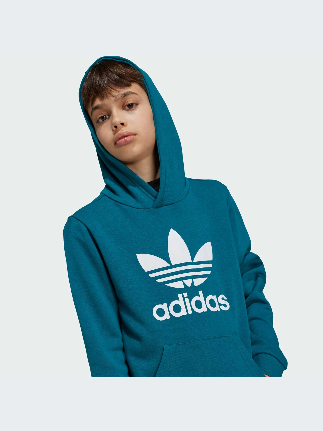 Худи и свитшоты Adidas Adicolor модель IY7440-KZ Худи и свитшоты Adidas Adicolor модель IY7440-KZ Фото