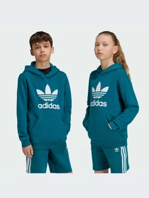 Худи и свитшоты Adidas Adicolor модель IY7440-KZ Фото