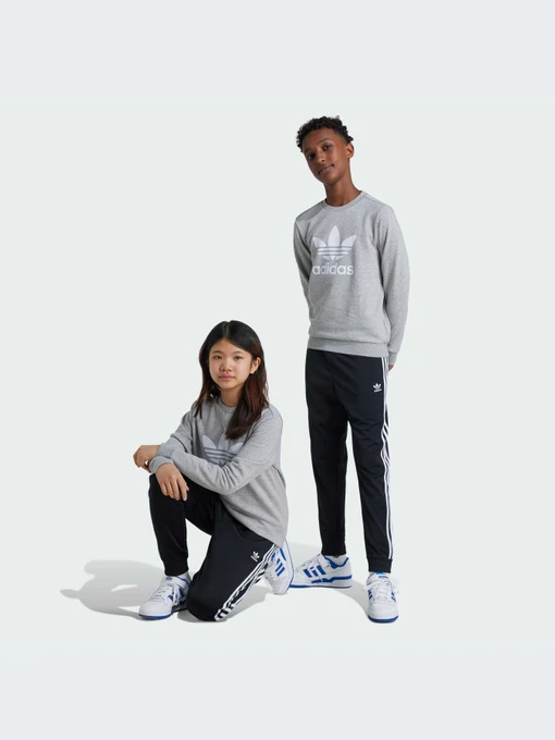Брюки Adidas Adicolor модель IX7630-KZ Фото