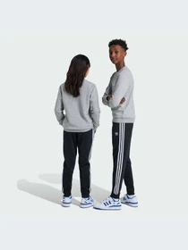 Брюки Adidas Adicolor модель IX7630-KZ Фото