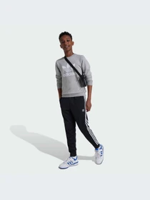 Брюки Adidas Adicolor модель IX7630-KZ Фото