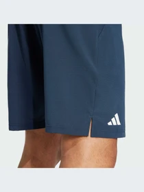 Шорты Adidas модель IW6224-KZ Фото