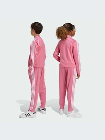 Брюки Adidas Adicolor модель IY7462-KZ Фото
