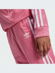 Брюки Adidas Adicolor модель IY7462-KZ Фото