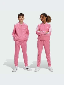 Брюки Adidas Adicolor модель IY7462-KZ Фото