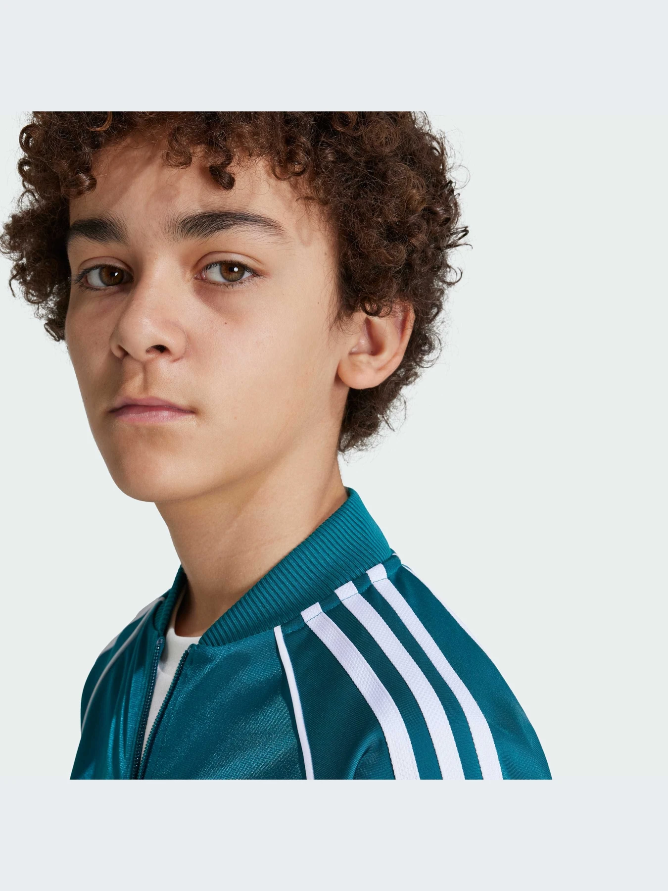 Худи и свитшоты Adidas Adicolor модель IY7452-KZ Худи и свитшоты Adidas Adicolor модель IY7452-KZ Фото