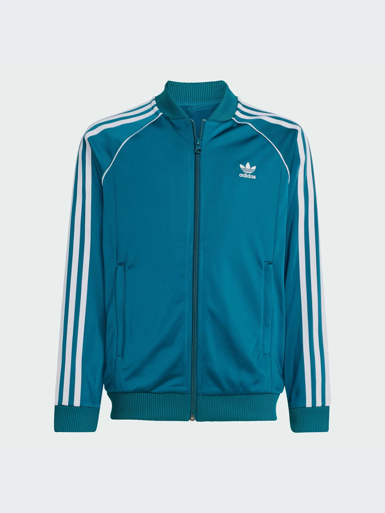 Худи и свитшоты Adidas Adicolor модель IY7452-KZ Худи и свитшоты Adidas Adicolor модель IY7452-KZ Фото