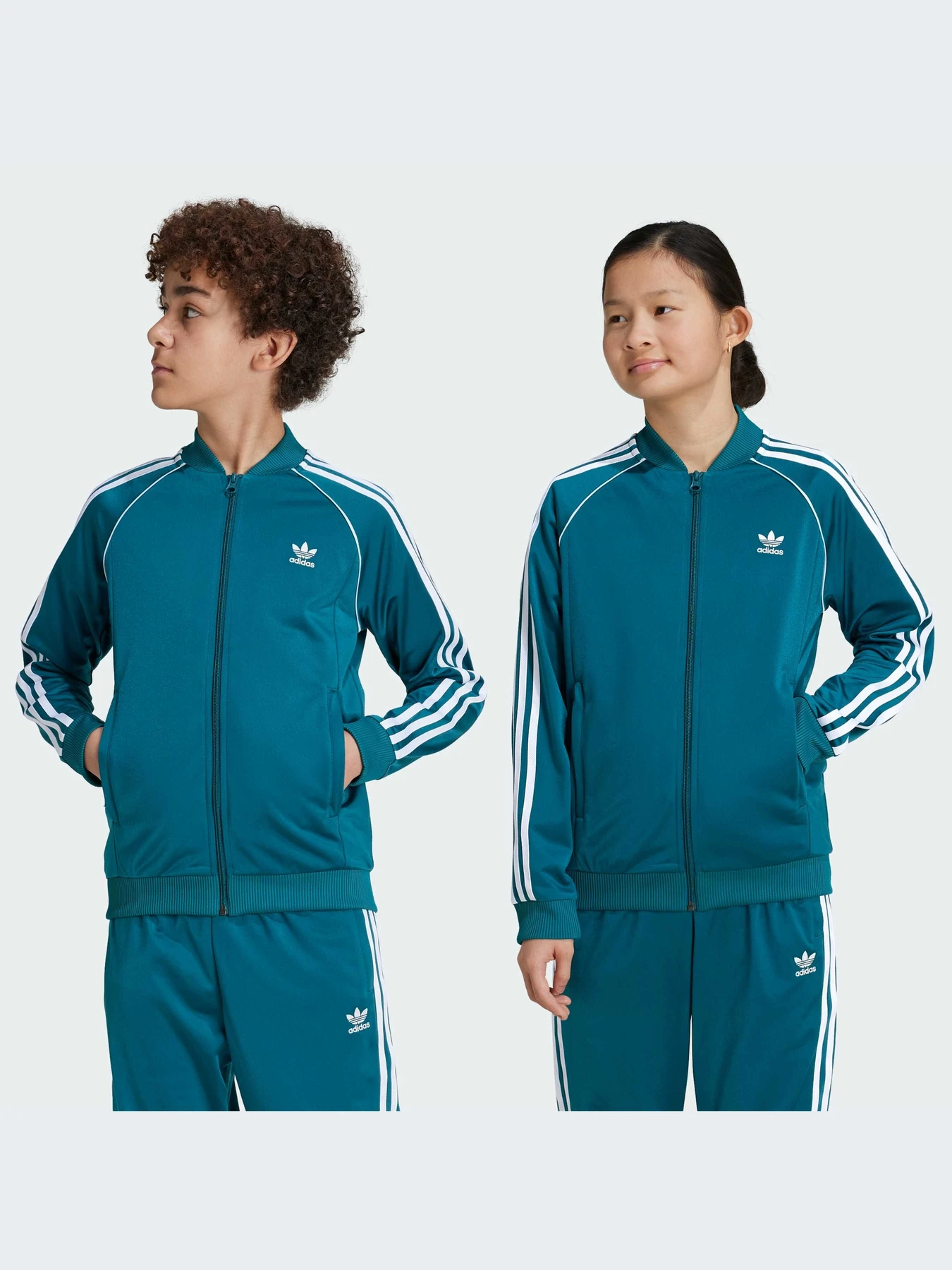 Худи и свитшоты Adidas Adicolor модель IY7452-KZ Худи и свитшоты Adidas Adicolor модель IY7452-KZ Фото
