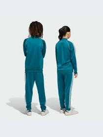 Брюки Adidas Adicolor модель IY7463-KZ Фото