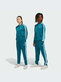 Брюки Adidas Adicolor модель IY7463-KZ Фото