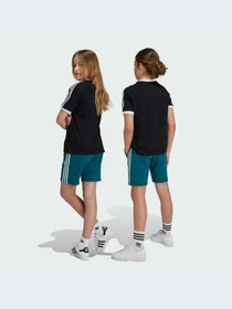 Шорты Adidas Adicolor модель IY7482-KZ Фото