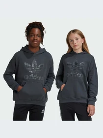 Худи и свитшоты Adidas модель IY1755-KZ Фото