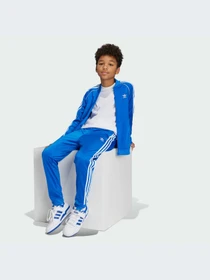 Брюки Adidas Adicolor модель IY4007-KZ Фото