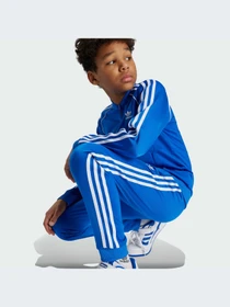 Брюки Adidas Adicolor модель IY4007-KZ Фото