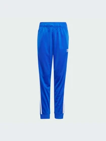 Брюки Adidas Adicolor модель IY4007-KZ Фото