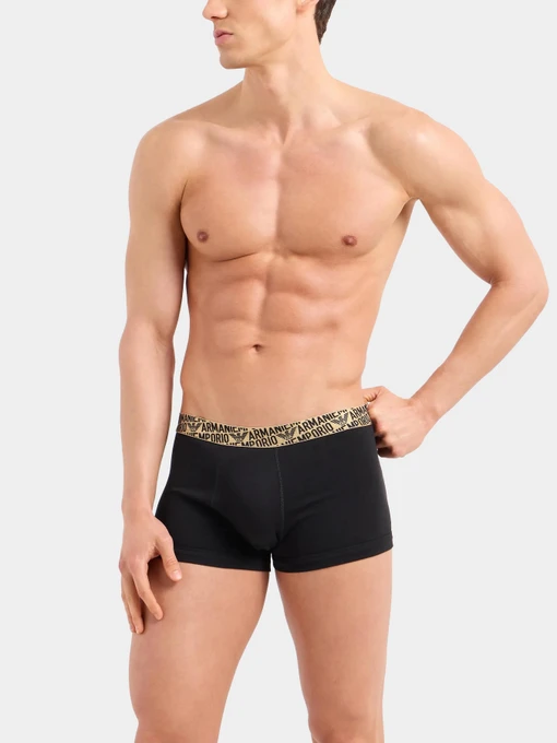 Нижнее белье Emporio Armani модель 111210-4F598-17020 Фото