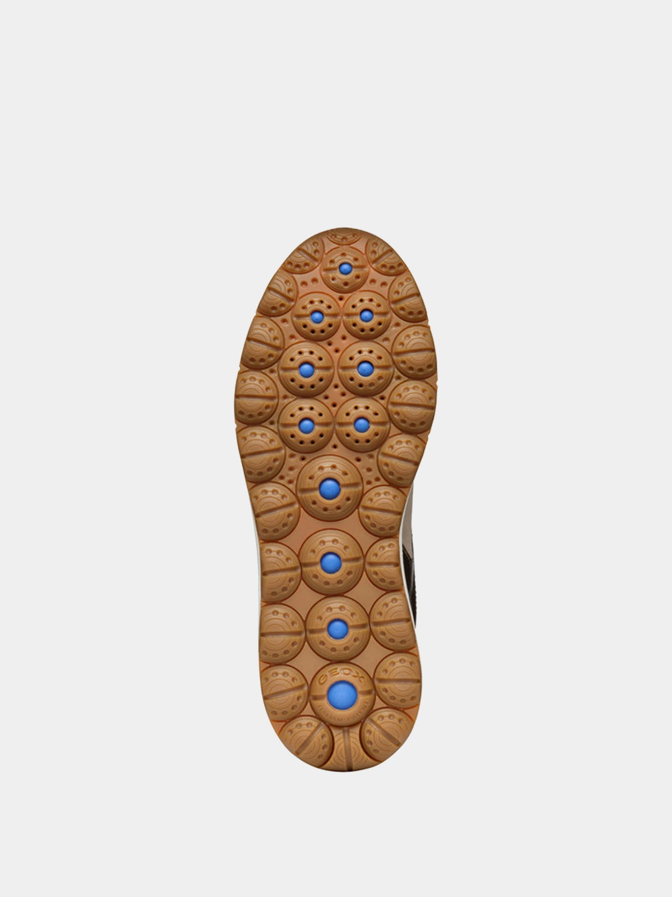 Кроссовки Geox модель D3626D-0227B-C6738 Кроссовки Geox модель D3626D-0227B-C6738 Фото