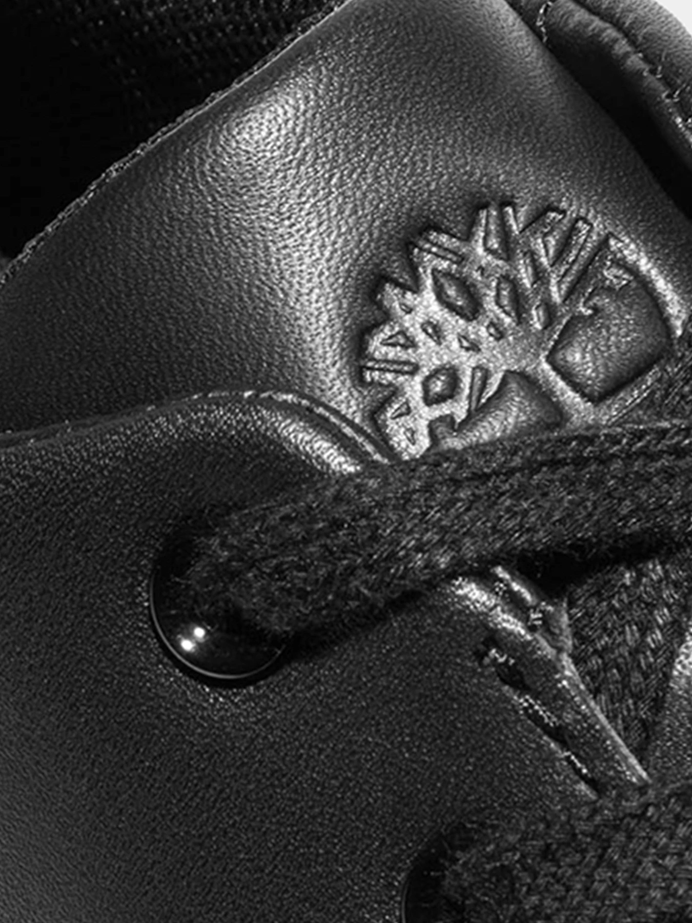 Кеды Timberland модель TB0A2G8A015 Кеды Timberland модель TB0A2G8A015 Фото