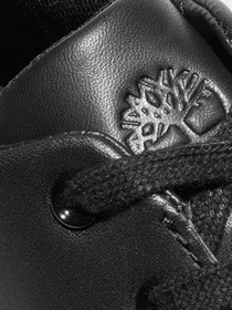 Кеды Timberland модель TB0A2G8A015 Фото