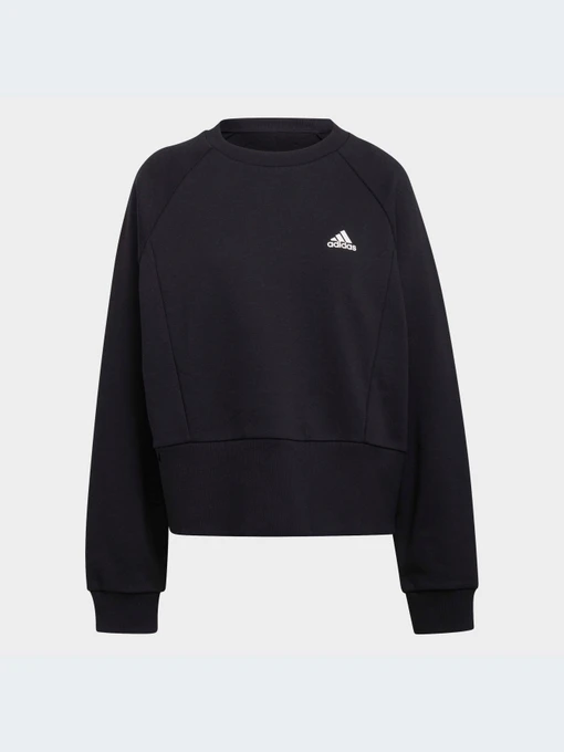 Худи и свитшоты Adidas модель HA6622-KZ Фото