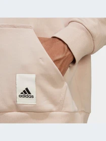 Худи и свитшоты Adidas модель IA9341-KZ Фото