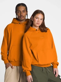 Худи и свитшоты Vans модель VN000GZ152K1 Фото