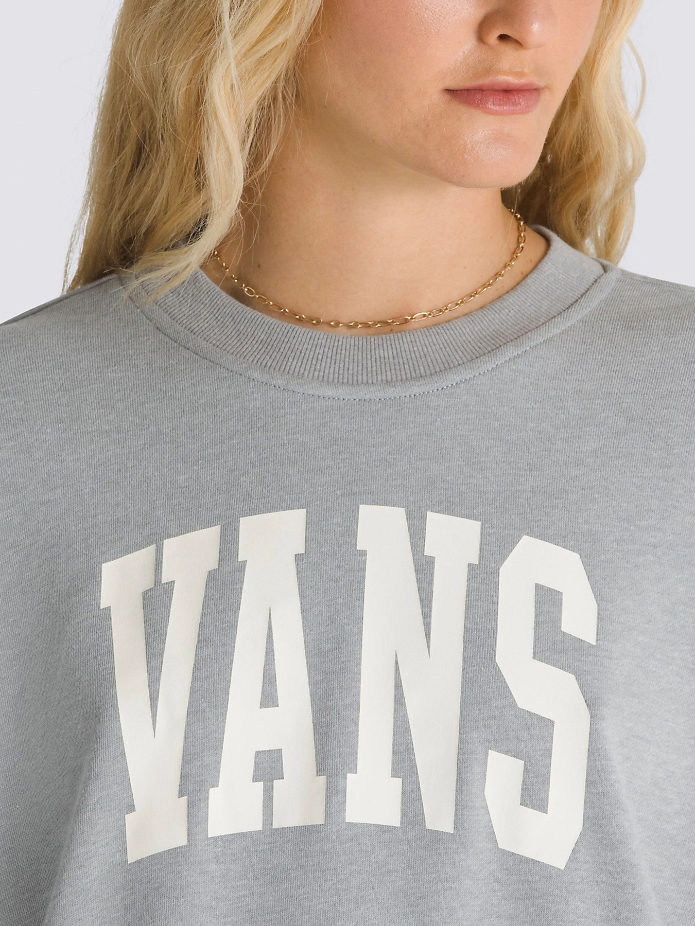 Худи и свитшоты Vans модель VN000HCC02F1 Худи и свитшоты Vans модель VN000HCC02F1 Фото