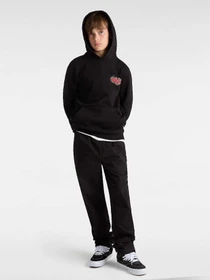 Худи и свитшоты Vans модель VN000K9HBLK1 Фото