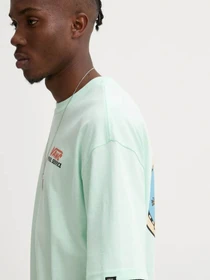 Футболки и поло Vans модель VN000KTDN4T1 Фото
