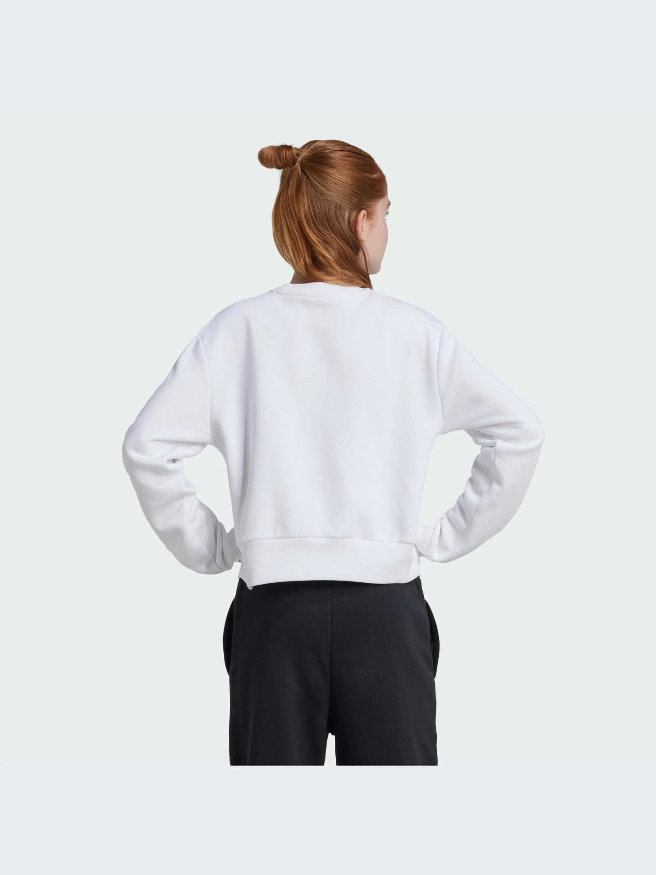 Худи и свитшоты Adidas модель IX9330-KZ Худи и свитшоты Adidas модель IX9330-KZ Фото