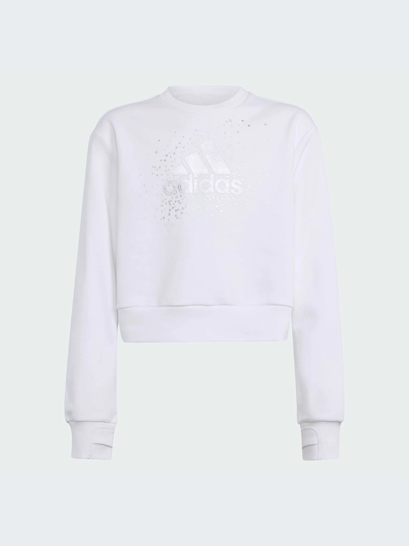 Худи и свитшоты Adidas модель IX9330-KZ Худи и свитшоты Adidas модель IX9330-KZ Фото