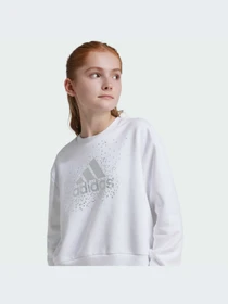 Худи и свитшоты Adidas модель IX9330-KZ Фото