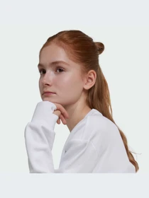Худи и свитшоты Adidas модель IX9330-KZ Фото