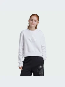 Худи и свитшоты Adidas модель IX9330-KZ Фото