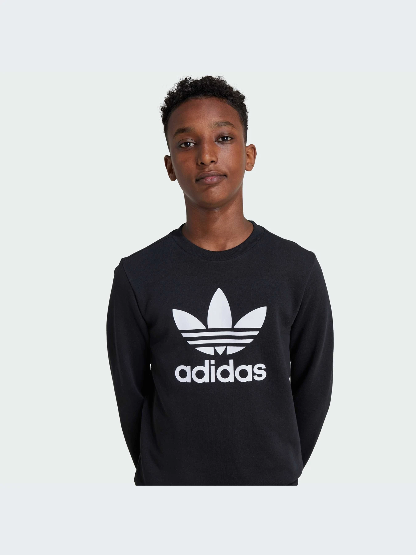 Худи и свитшоты Adidas модель IY7435-KZ Худи и свитшоты Adidas модель IY7435-KZ Фото